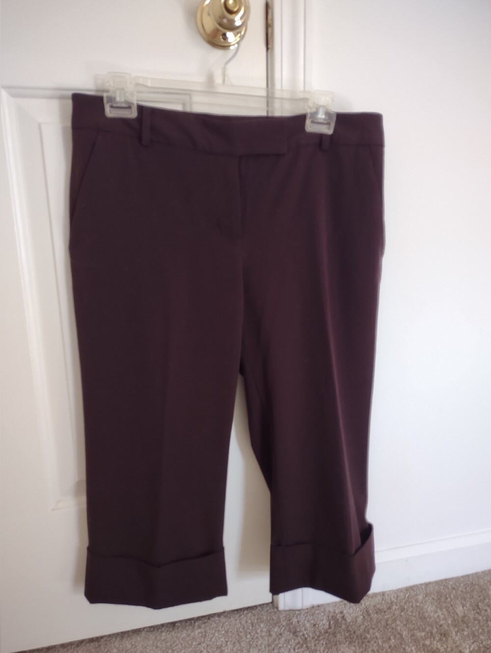 Daisy Fuentes Dark Brown Cuffed Capris